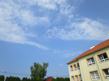 img-6237.JPG