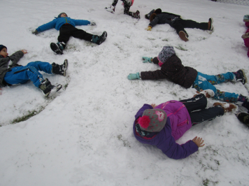 img-1295.JPG
