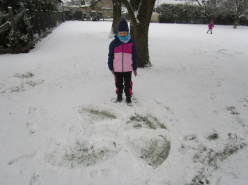 img-1299.JPG