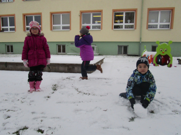 img-1300.JPG
