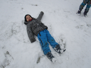 img-1303.JPG