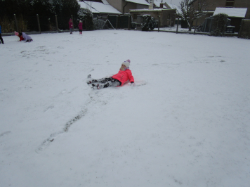 img-1305.JPG