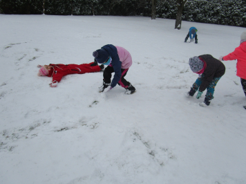 img-1306.JPG
