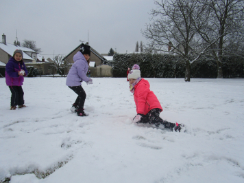 img-1313.JPG