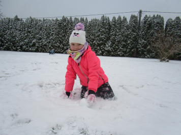 img-1314.JPG