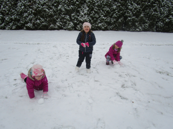 img-1321.JPG