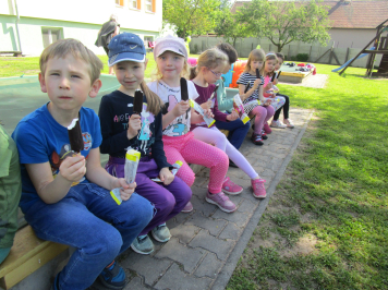 img-6555.JPG
