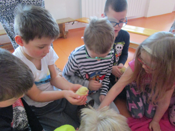 img-0217.JPG
