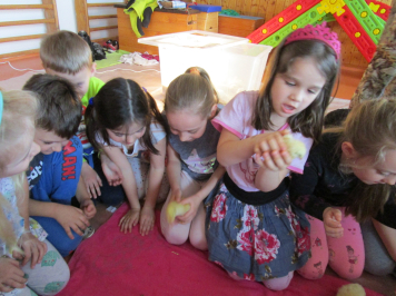 img-0222.JPG