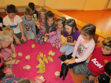 img-0229.JPG