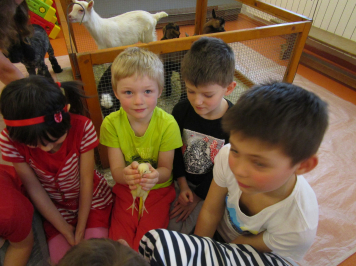 img-0233.JPG