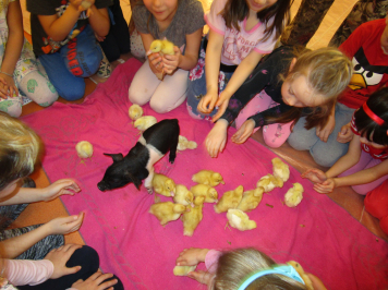 img-0234.JPG