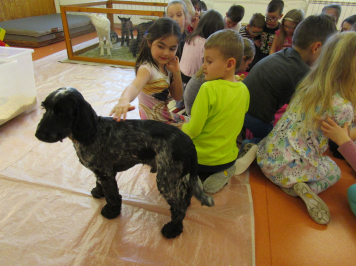 img-0235.JPG