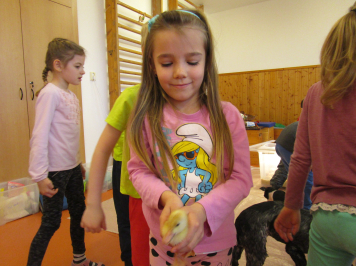 img-0239.JPG