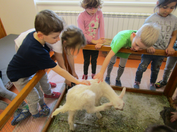 img-0256.JPG