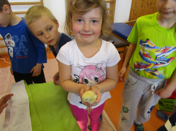 img-0260.JPG