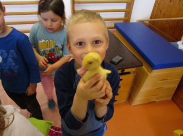 img-0262.JPG