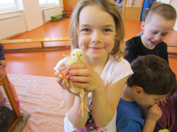 img-0263.JPG