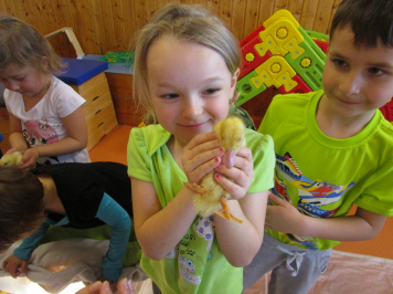 img-0264.JPG