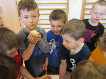 img-0265.JPG