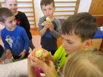 img-0271.JPG