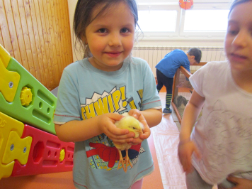 img-0273.JPG
