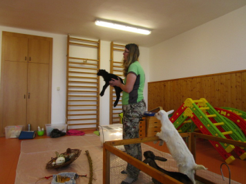 img-0007.JPG