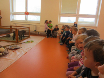 img-0010.JPG