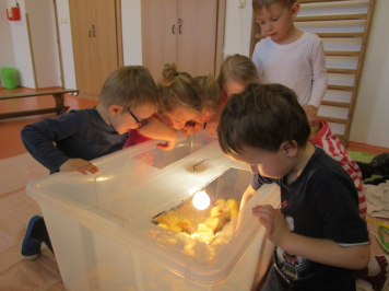 img-0040.JPG