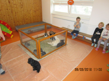 img-1819.JPG