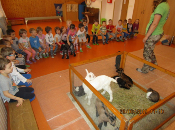img-1820.JPG