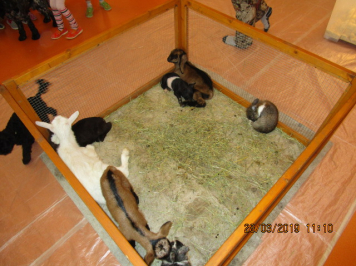 img-1821.JPG