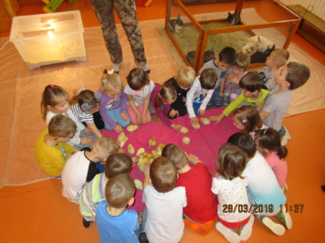 img-1826.JPG