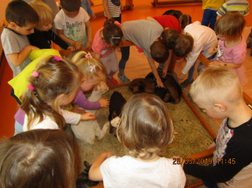 img-1828.JPG