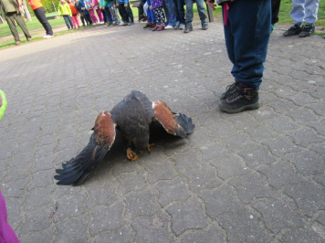 10900.jpg