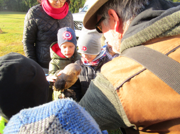 img-9678.JPG