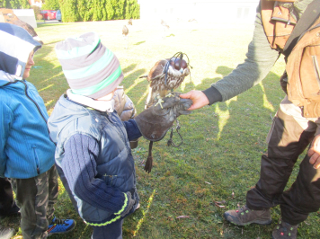 img-9689.JPG