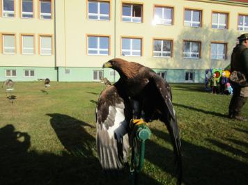 img-0015.JPG