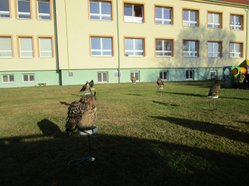 img-0016.JPG
