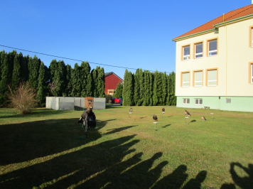 img-0020.JPG