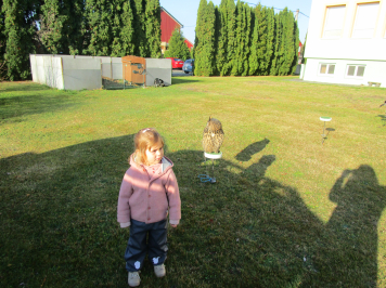 img-0034.JPG