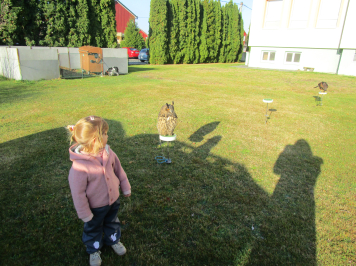 img-0035.JPG