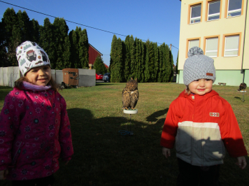 img-0036.JPG