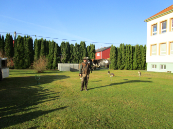 img-2584.JPG