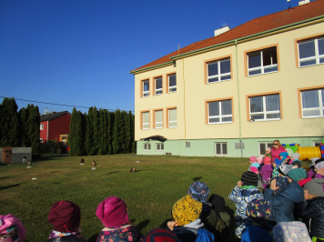 img-2607.JPG
