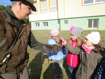 img-0073.JPG
