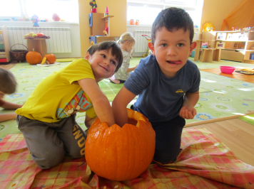 img-9337.JPG