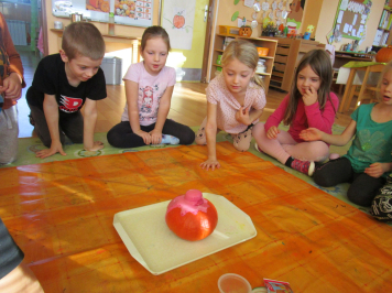 img-9342.JPG
