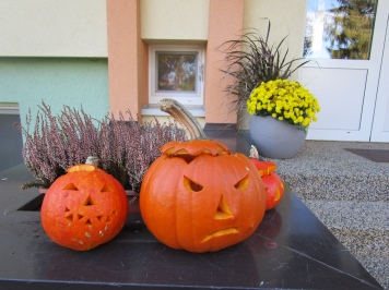 img-9353.JPG