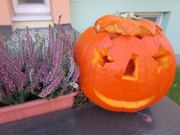 img-9354.JPG